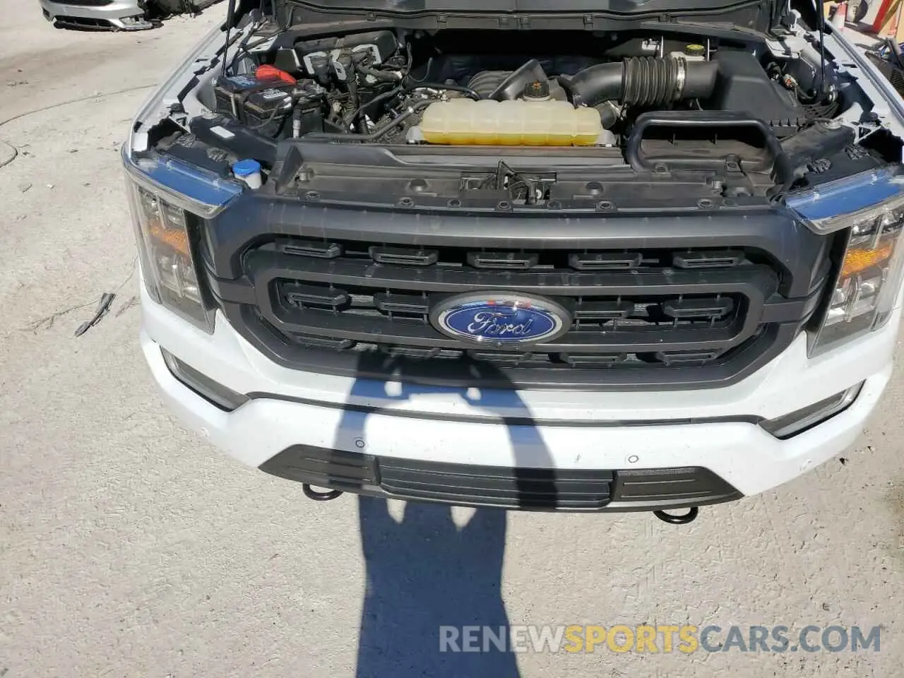11 fotografías del automóvil dañado 1FTFW1E53MFB07307 FORD F-150 2021