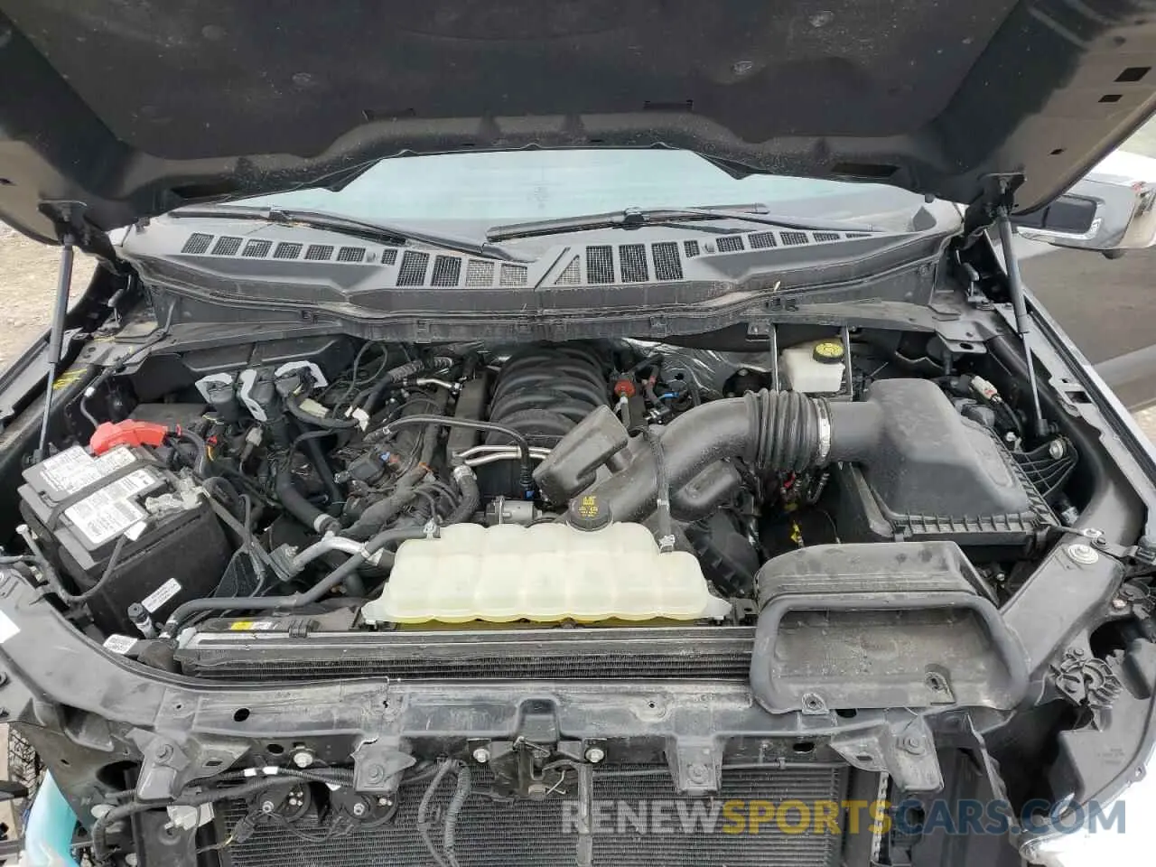 11 fotografías del automóvil dañado 1FTFW1E53MFC01574 FORD F-150 2021