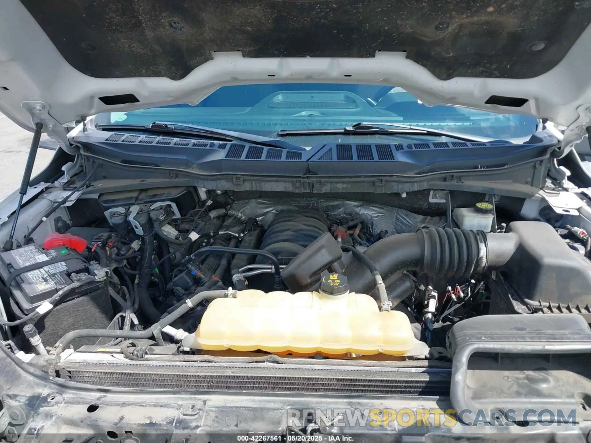 10 fotografías del automóvil dañado 1FTFW1E56MFA73752 FORD F-150 2021
