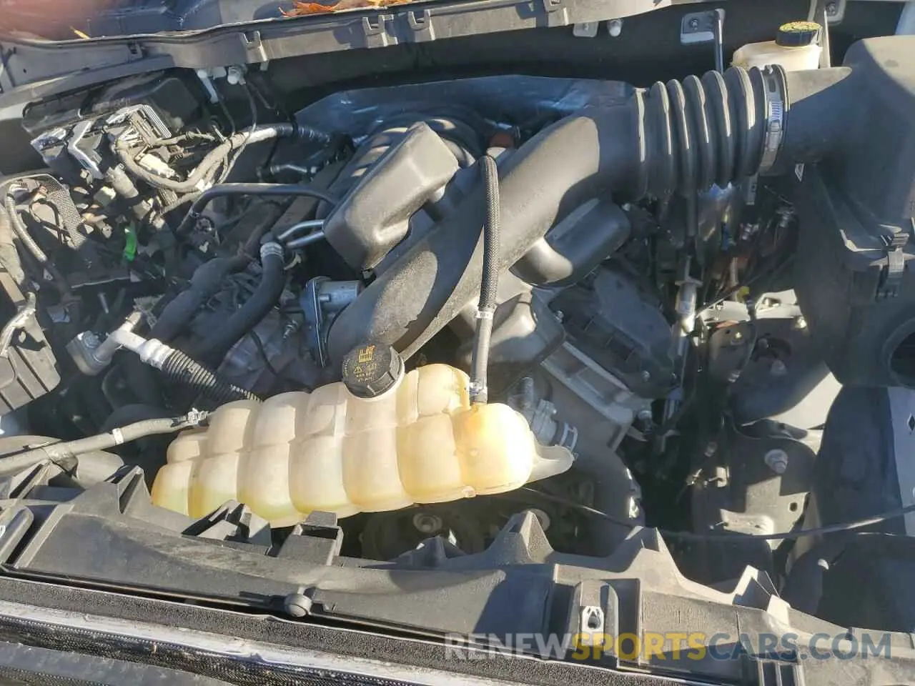 11 fotografías del automóvil dañado 1FTFW1E56MKE85922 FORD F-150 2021