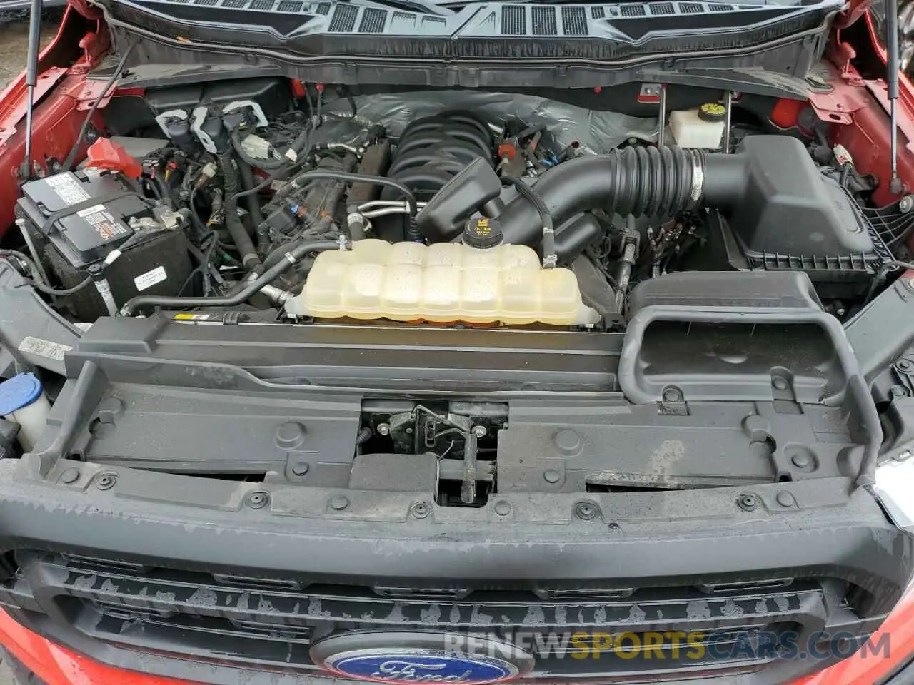 11 fotografías del automóvil dañado 1FTFW1E59MKD58355 FORD F-150 2021