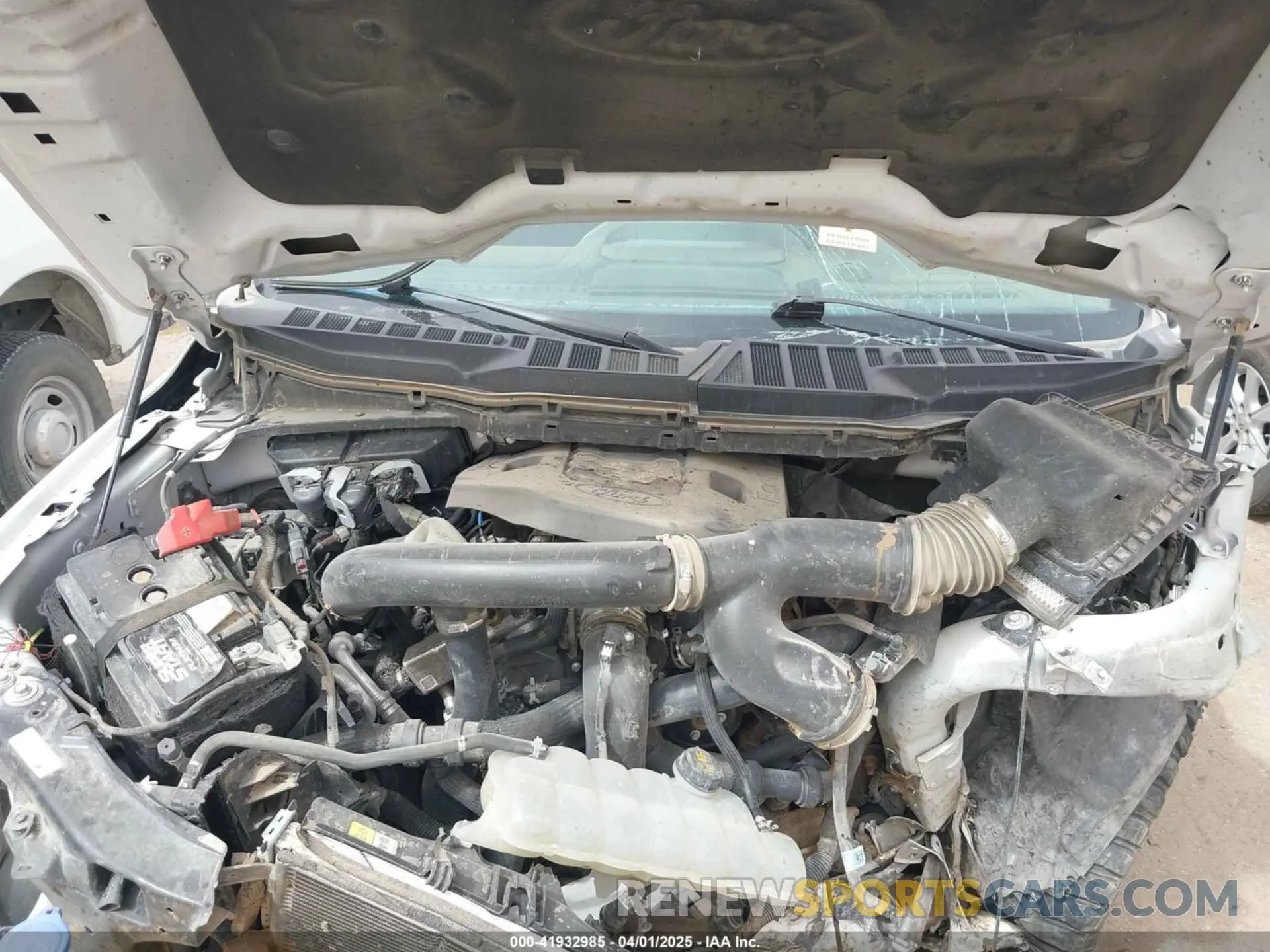 10 fotografías del automóvil dañado 1FTFW1E80MFB09204 FORD F-150 2021