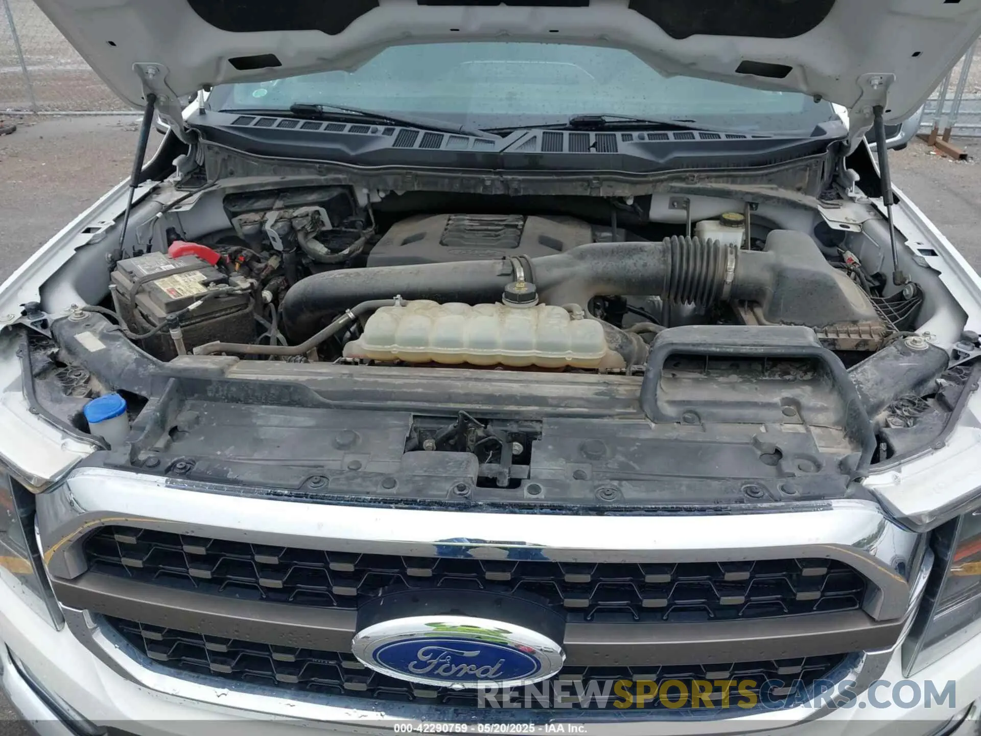 10 fotografías del automóvil dañado 1FTFW1E81MFA33895 FORD F-150 2021