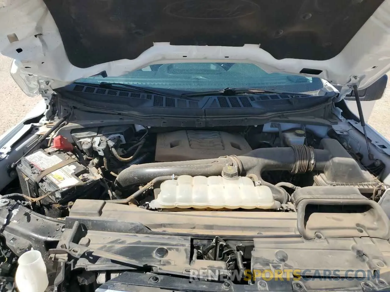 11 fotografías del automóvil dañado 1FTFW1E81MFA62118 FORD F-150 2021