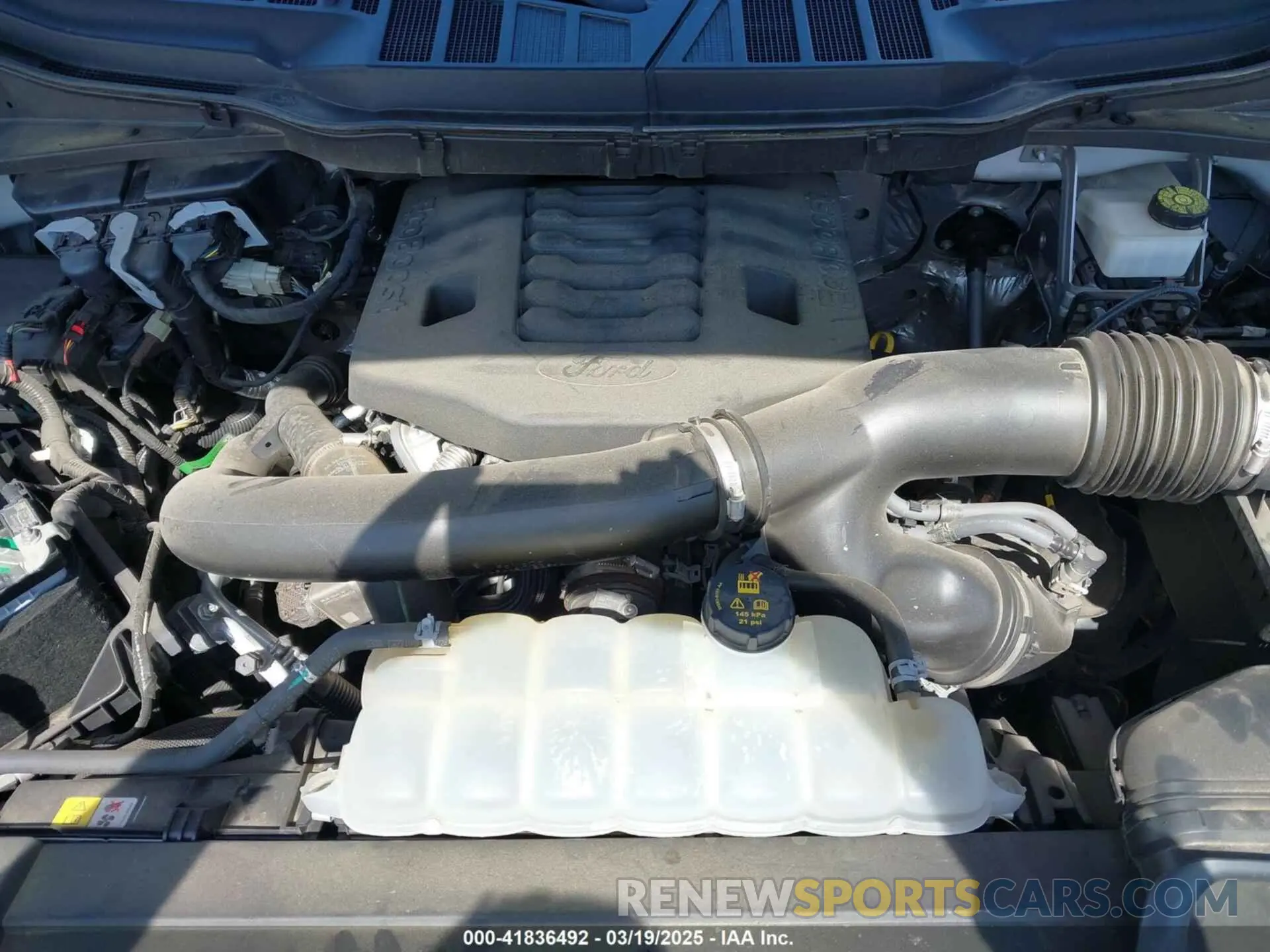 10 fotografías del automóvil dañado 1FTFW1E82MKE90755 FORD F-150 2021
