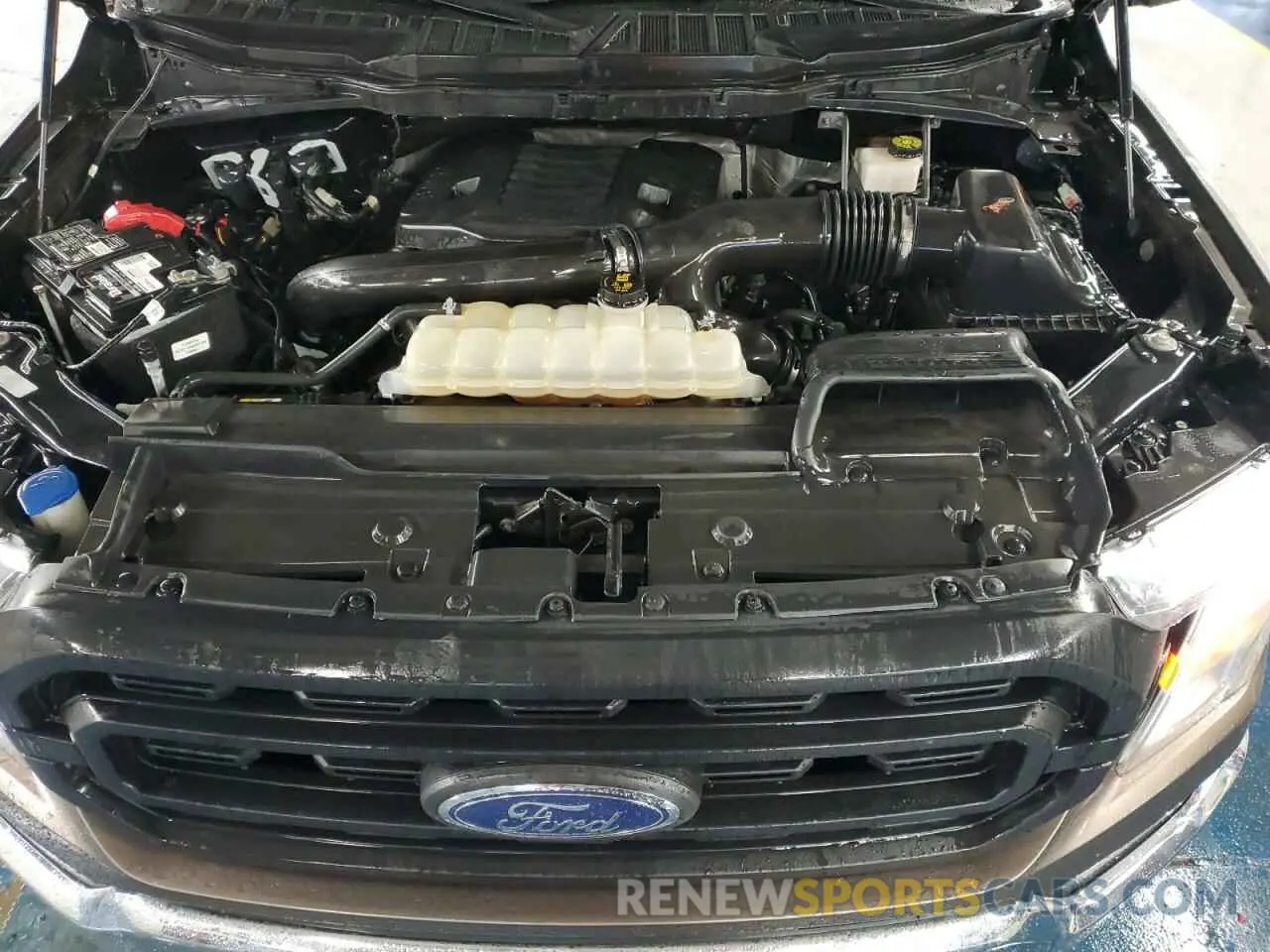 11 fotografías del automóvil dañado 1FTFW1E84MFB47468 FORD F-150 2021