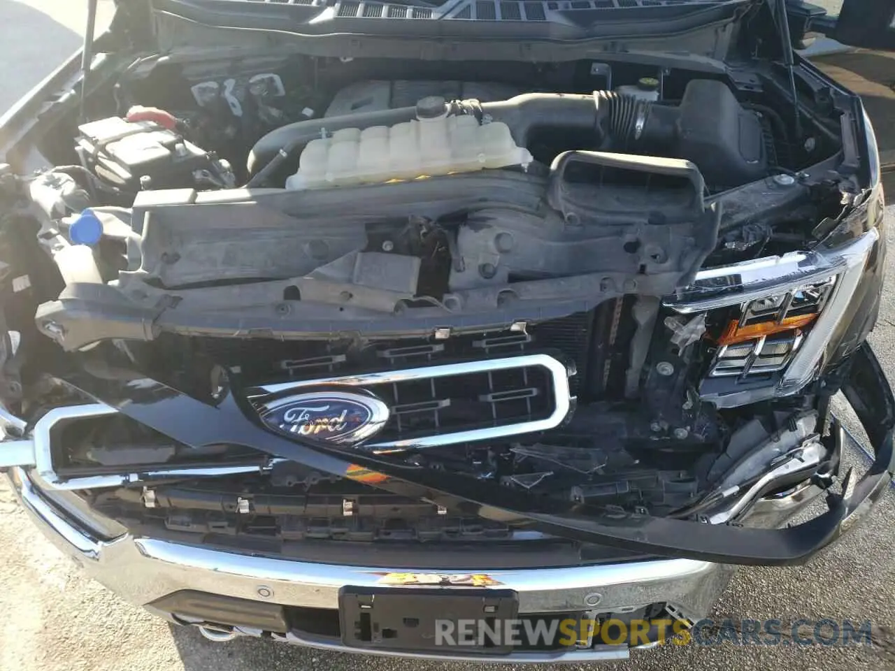 12 fotografías del automóvil dañado 1FTFW1E86MFB08185 FORD F-150 2021