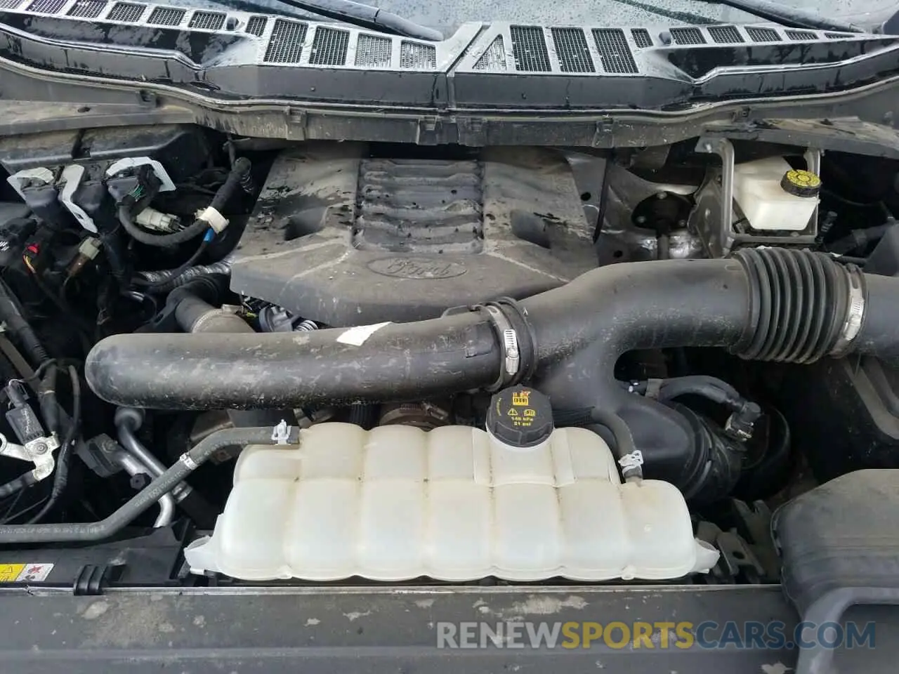 11 fotografías del automóvil dañado 1FTFW1E86MFB44717 FORD F-150 2021