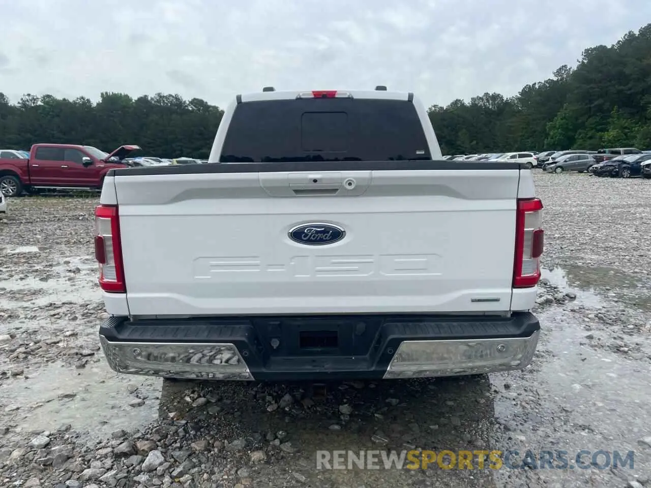6 fotografías del automóvil dañado 1FTFW1E86MFB70217 FORD F-150 2021