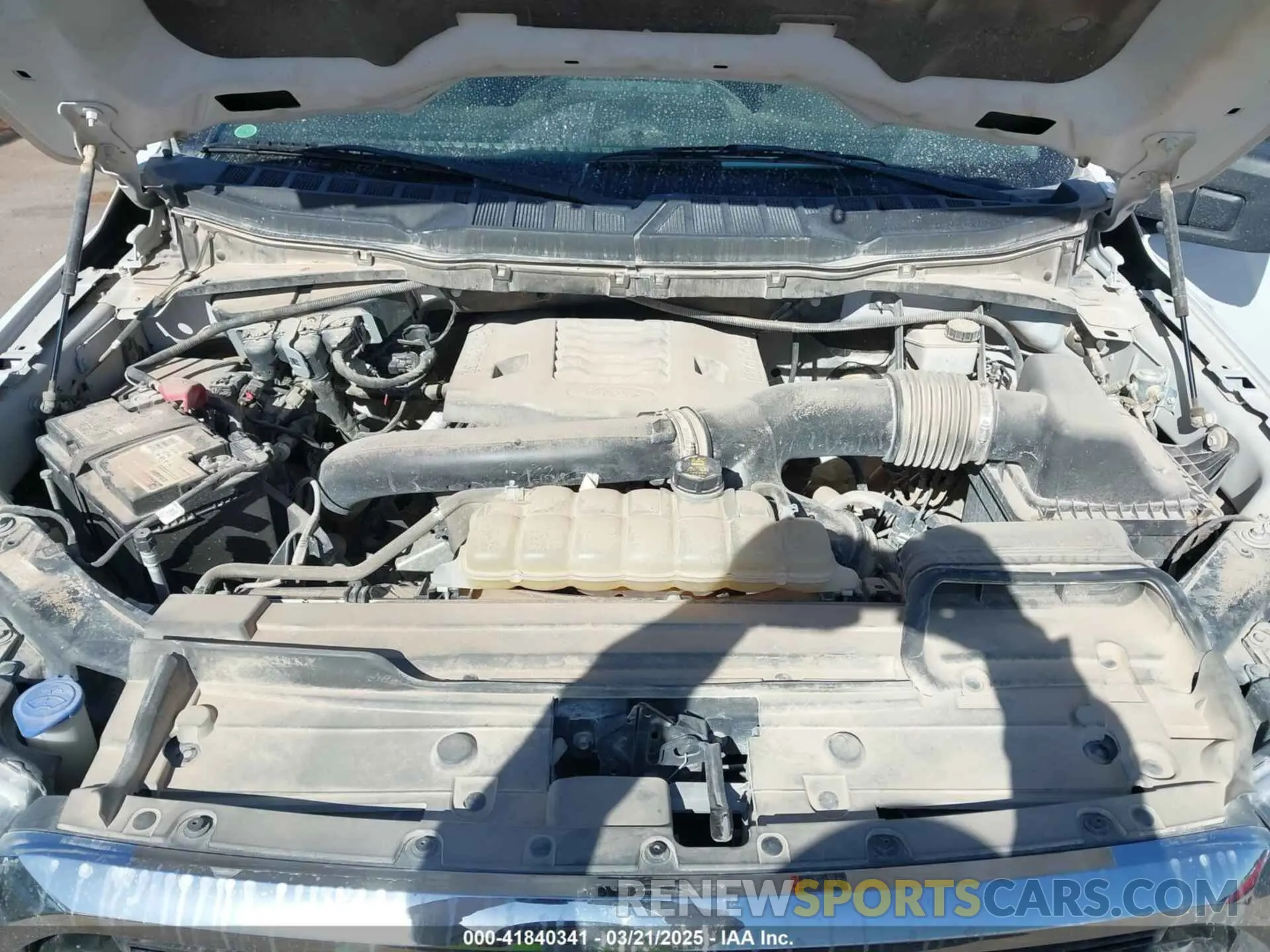 10 fotografías del automóvil dañado 1FTFW1E86MFC72651 FORD F-150 2021