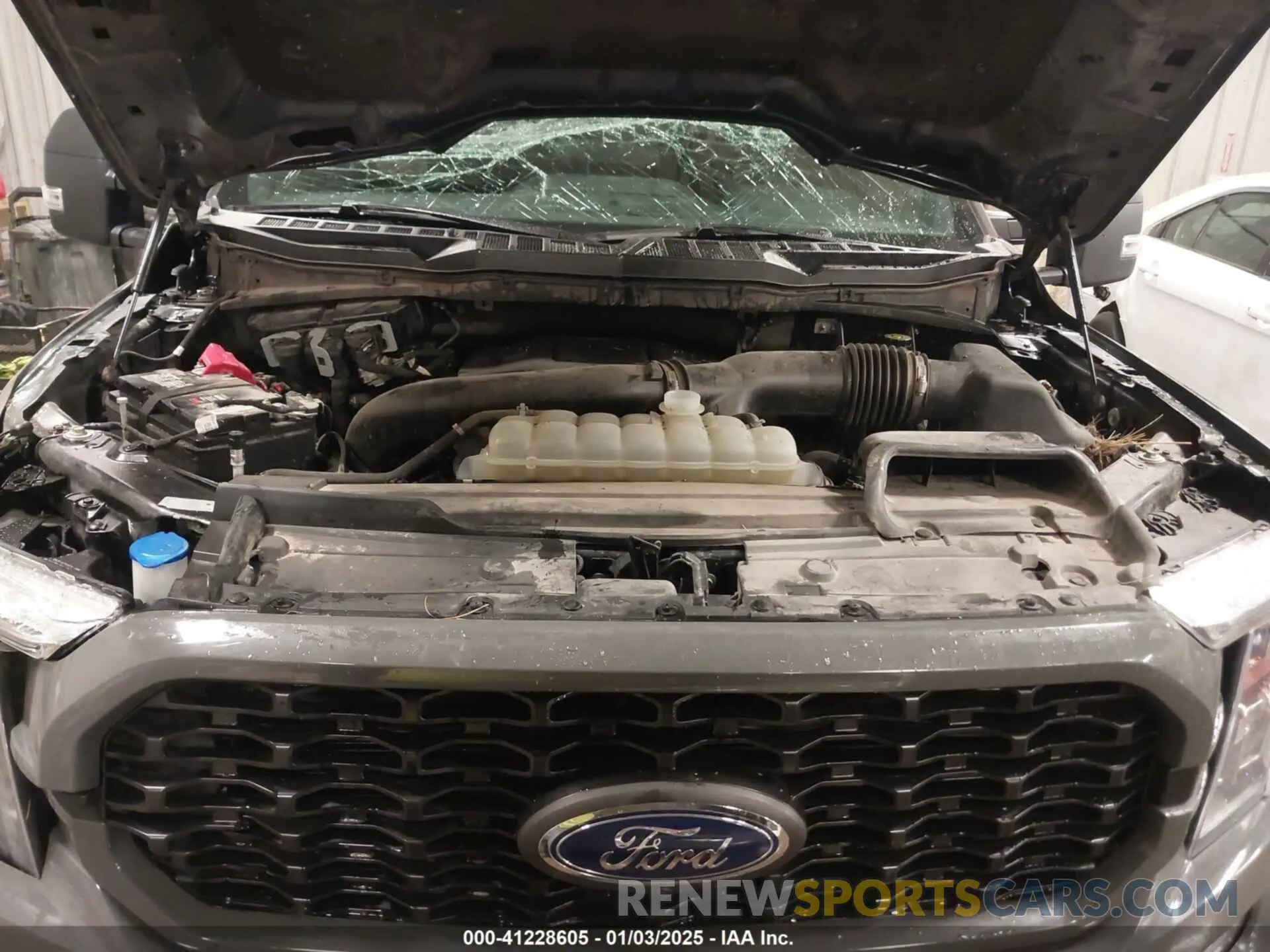 10 fotografías del automóvil dañado 1FTFW1E86MKE40831 FORD F-150 2021