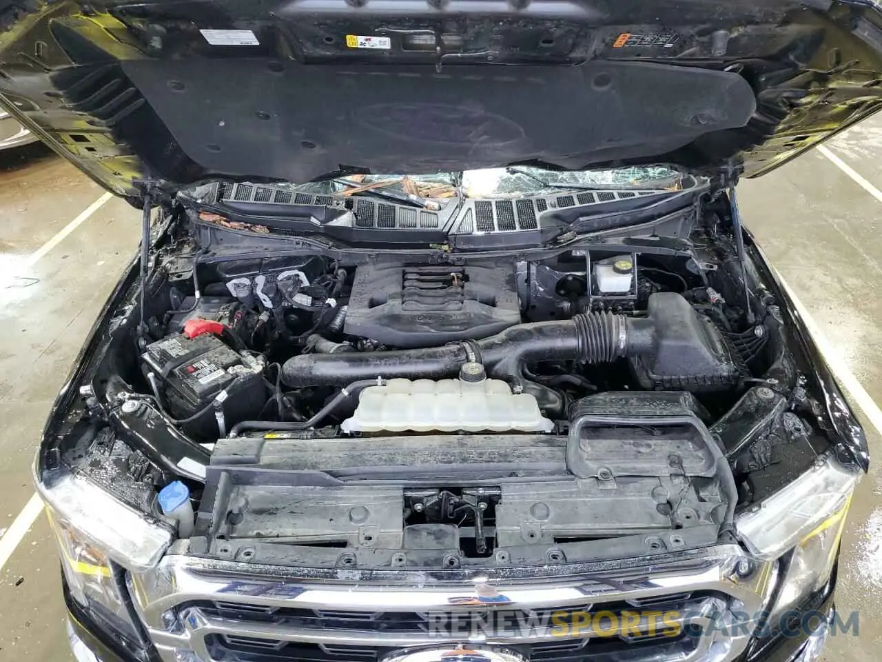 11 fotografías del automóvil dañado 1FTFW1E87MKD82065 FORD F-150 2021