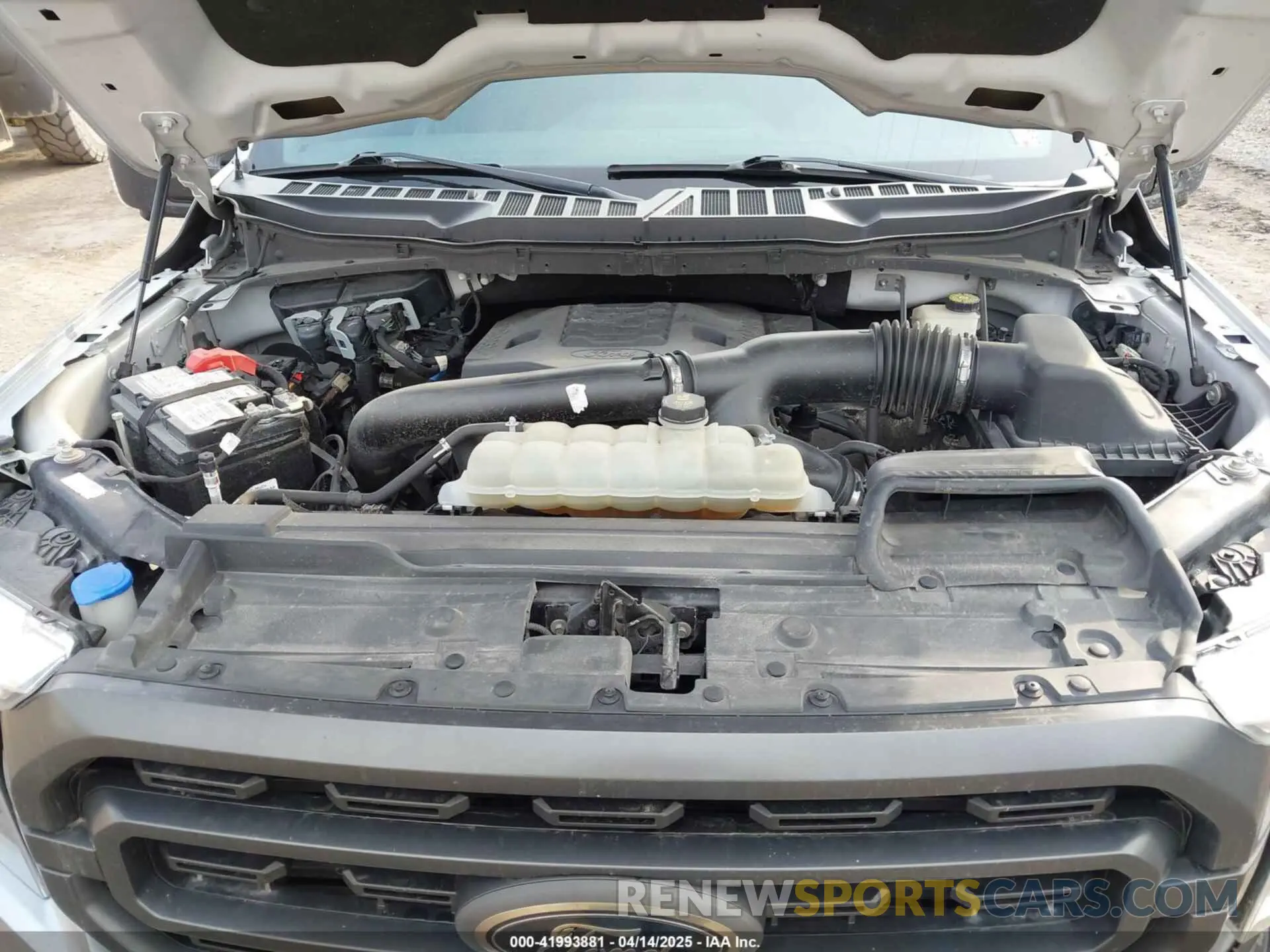 10 fotografías del automóvil dañado 1FTFW1E89MFA31943 FORD F-150 2021