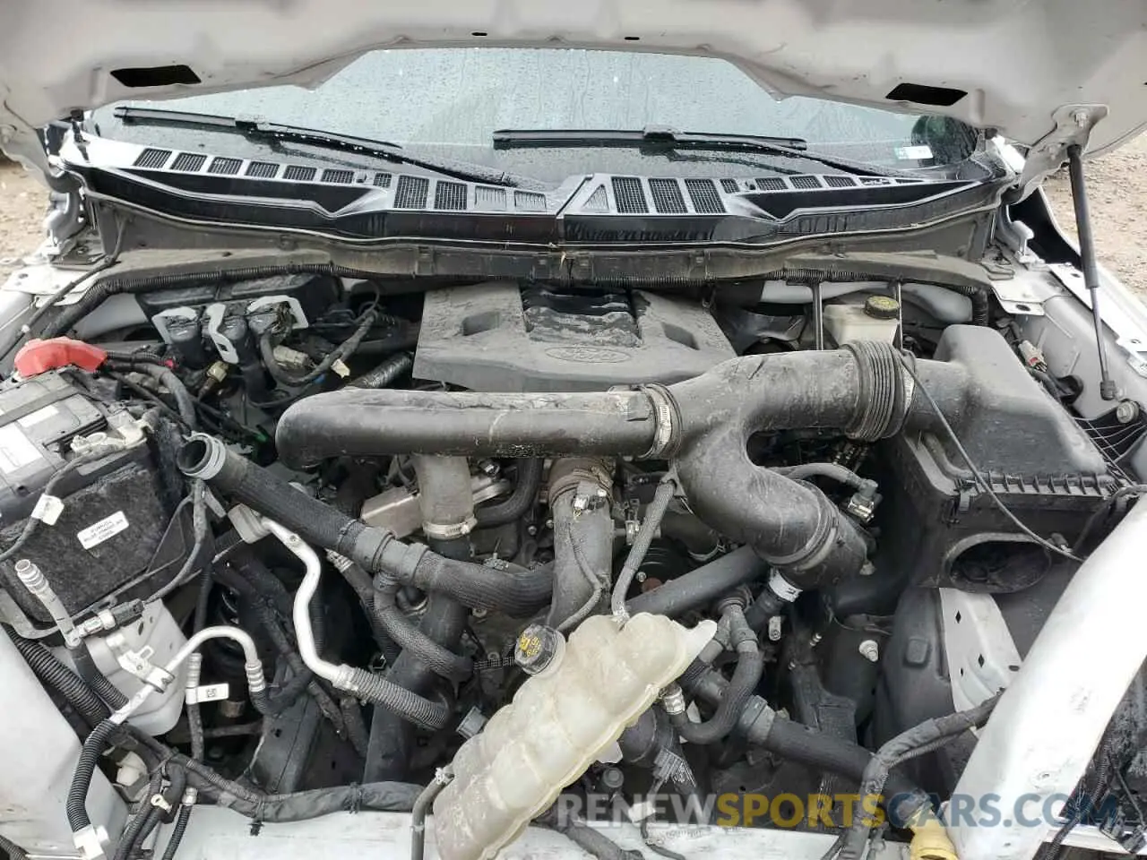 11 fotografías del automóvil dañado 1FTFW1E89MFB64024 FORD F-150 2021