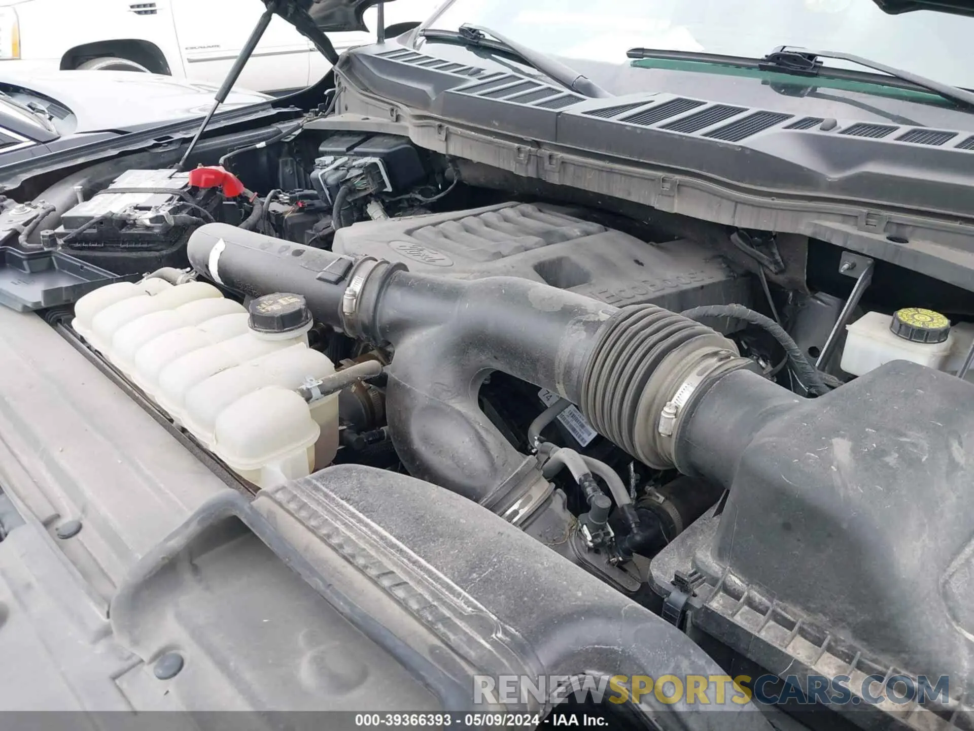10 fotografías del automóvil dañado 1FTFW1E89MFB68946 FORD F-150 2021