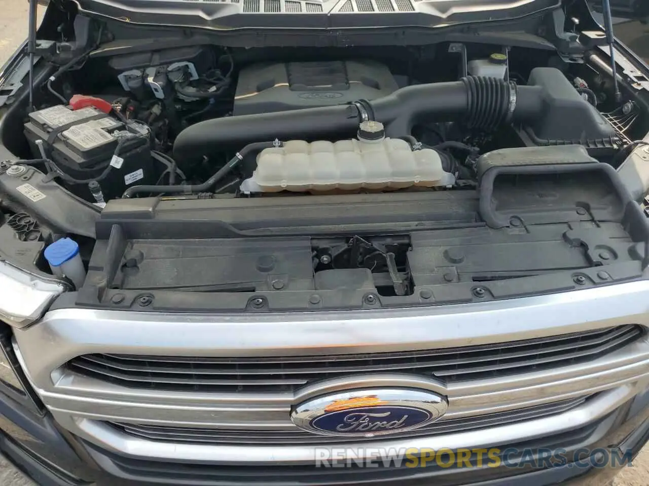 11 fotografías del automóvil dañado 1FTFW1E89MFB88789 FORD F-150 2021