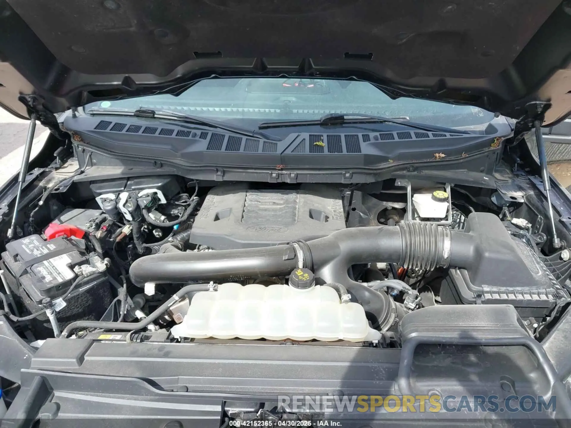 10 fotografías del automóvil dañado 1FTFW1E8XMFA17856 FORD F-150 2021