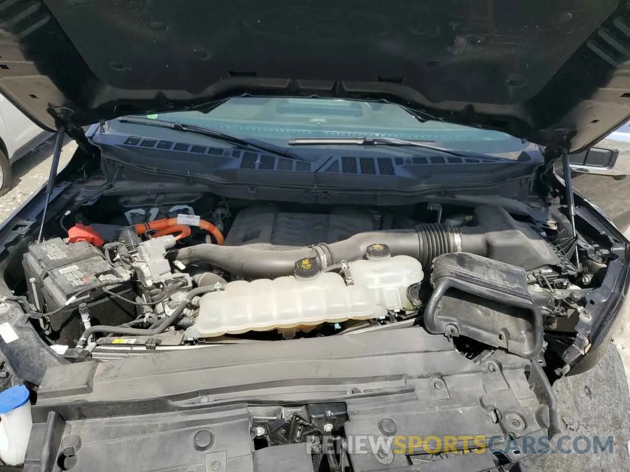 11 fotografías del automóvil dañado 1FTFW1ED2MFB27894 FORD F-150 2021