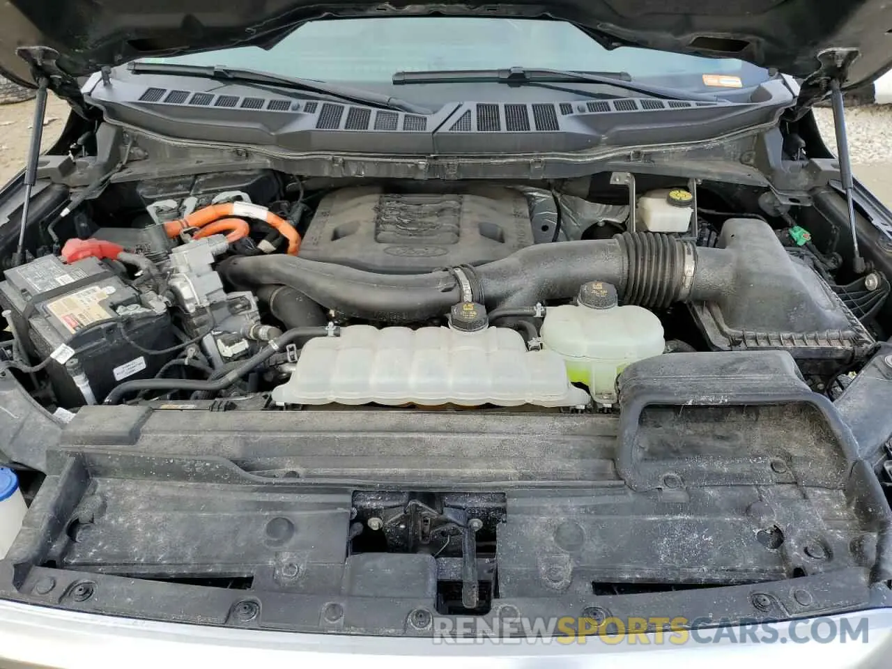 11 fotografías del automóvil dañado 1FTFW1ED2MFC02318 FORD F-150 2021