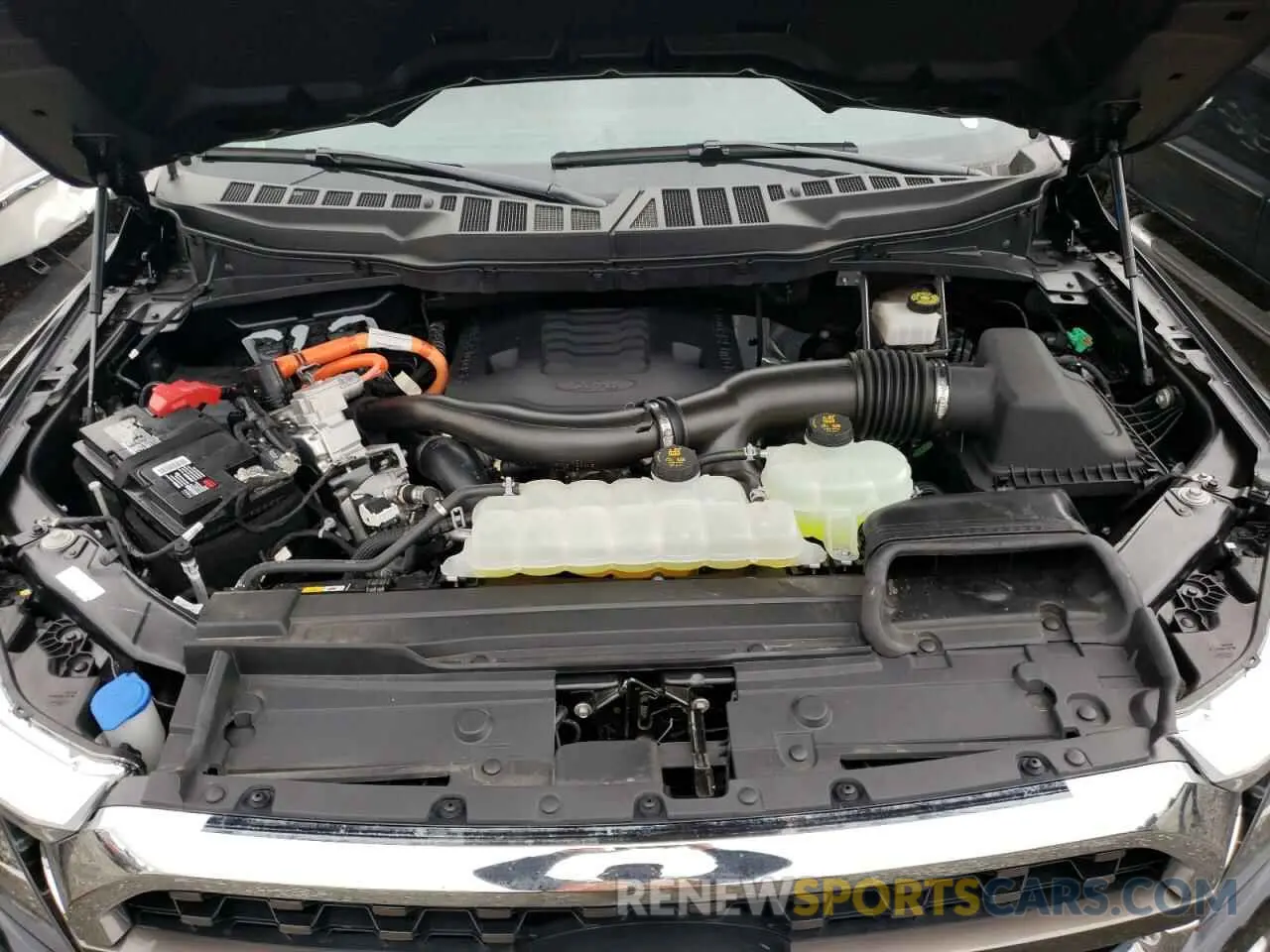 11 fotografías del automóvil dañado 1FTFW1ED2MFC07938 FORD F-150 2021