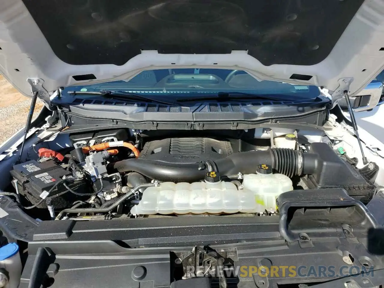 12 fotografías del automóvil dañado 1FTFW1ED4MFB84601 FORD F-150 2021