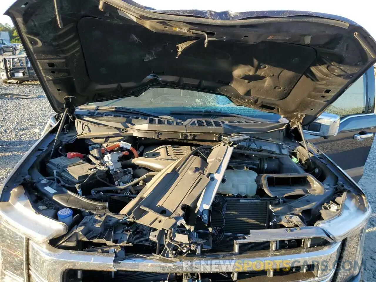 12 fotografías del automóvil dañado 1FTFW1ED4MFC84570 FORD F-150 2021