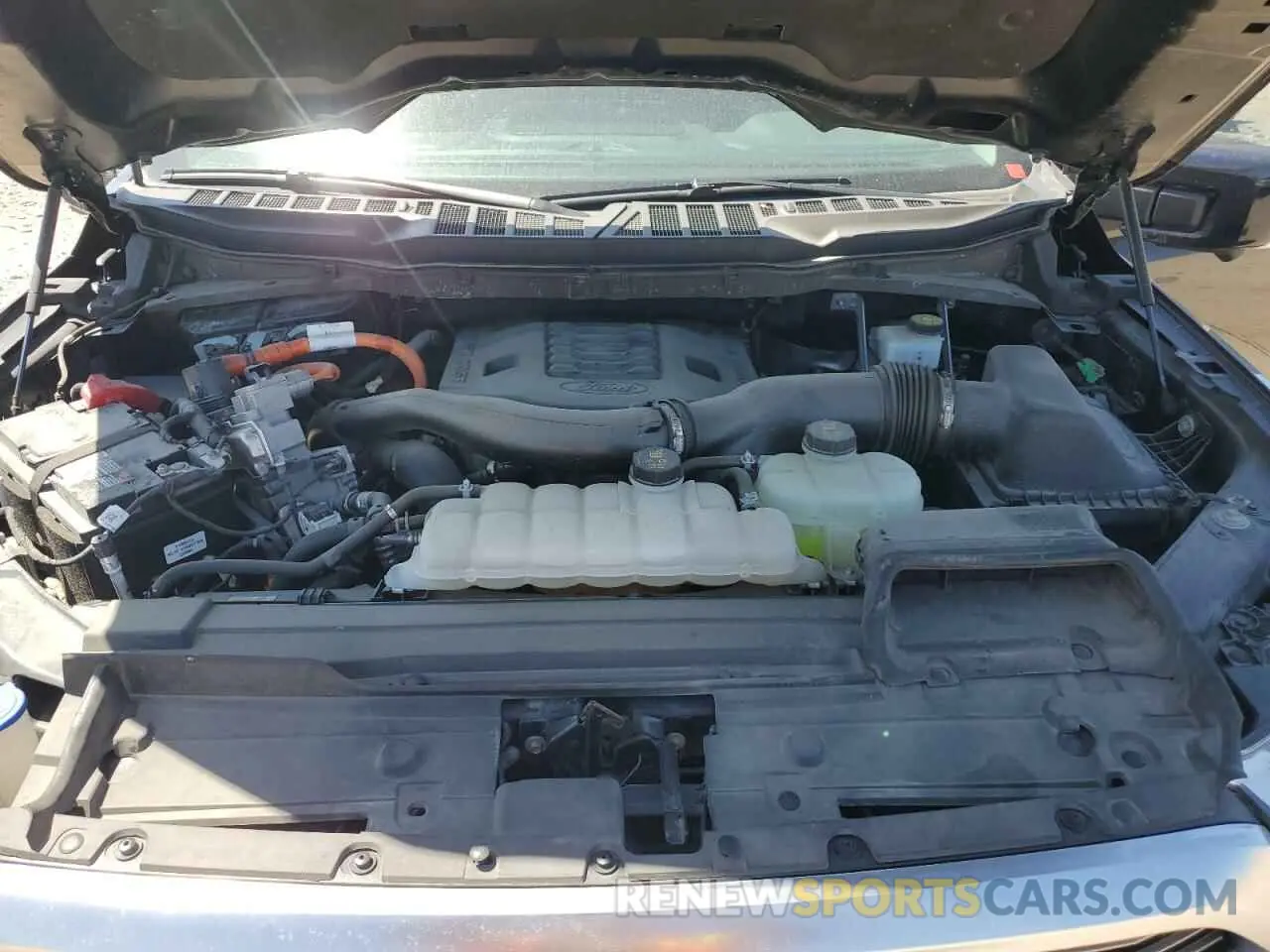 11 fotografías del automóvil dañado 1FTFW1ED6MFD01093 FORD F-150 2021
