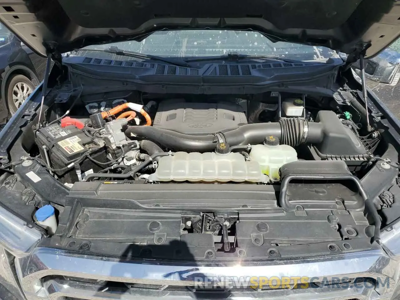 11 fotografías del automóvil dañado 1FTFW1ED7MFB42049 FORD F-150 2021