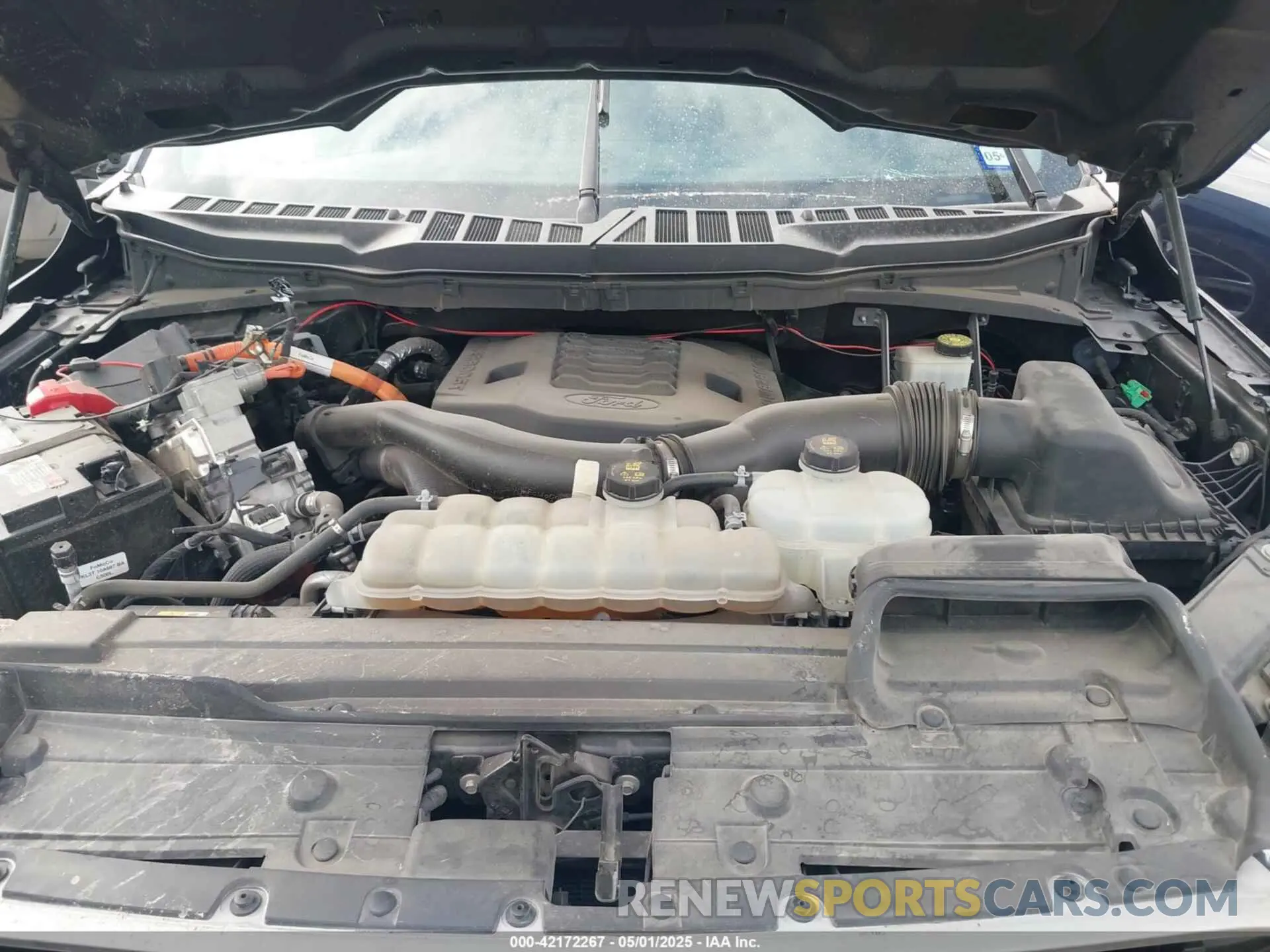 10 fotografías del automóvil dañado 1FTFW1ED9MFB61685 FORD F-150 2021