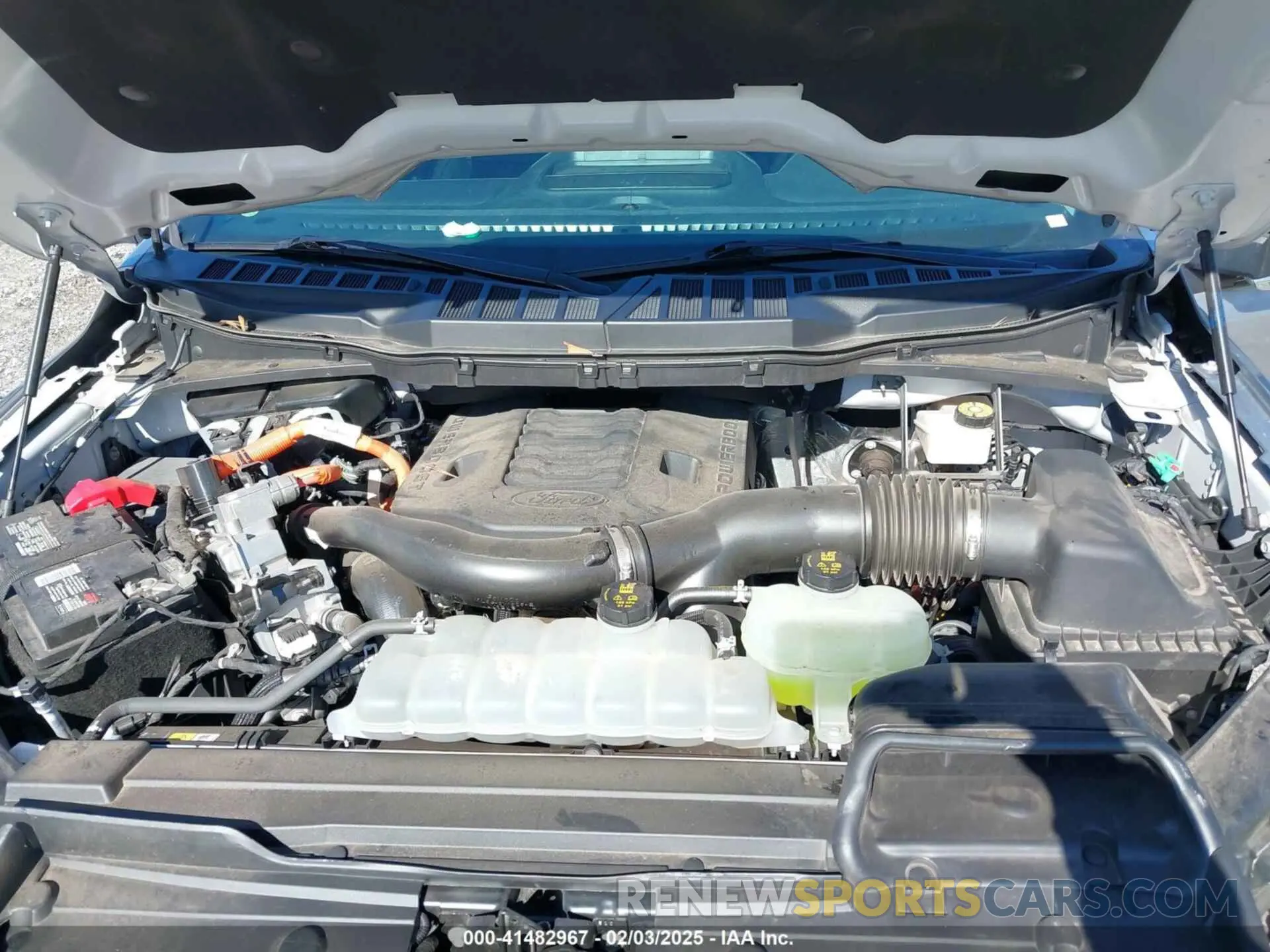 10 fotografías del automóvil dañado 1FTFW1EDXMFB23849 FORD F-150 2021