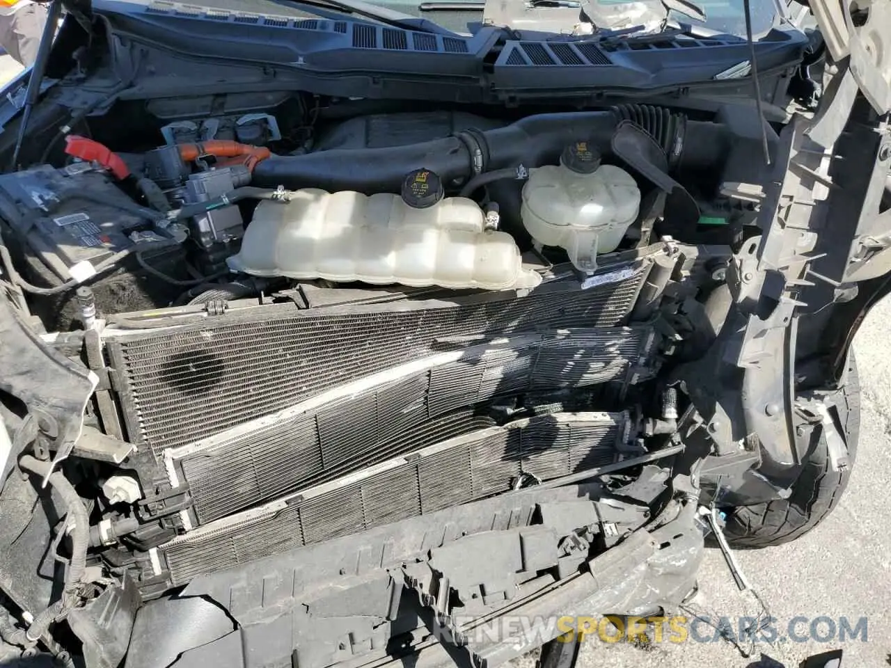 11 fotografías del automóvil dañado 1FTFW1EDXMFC63710 FORD F-150 2021
