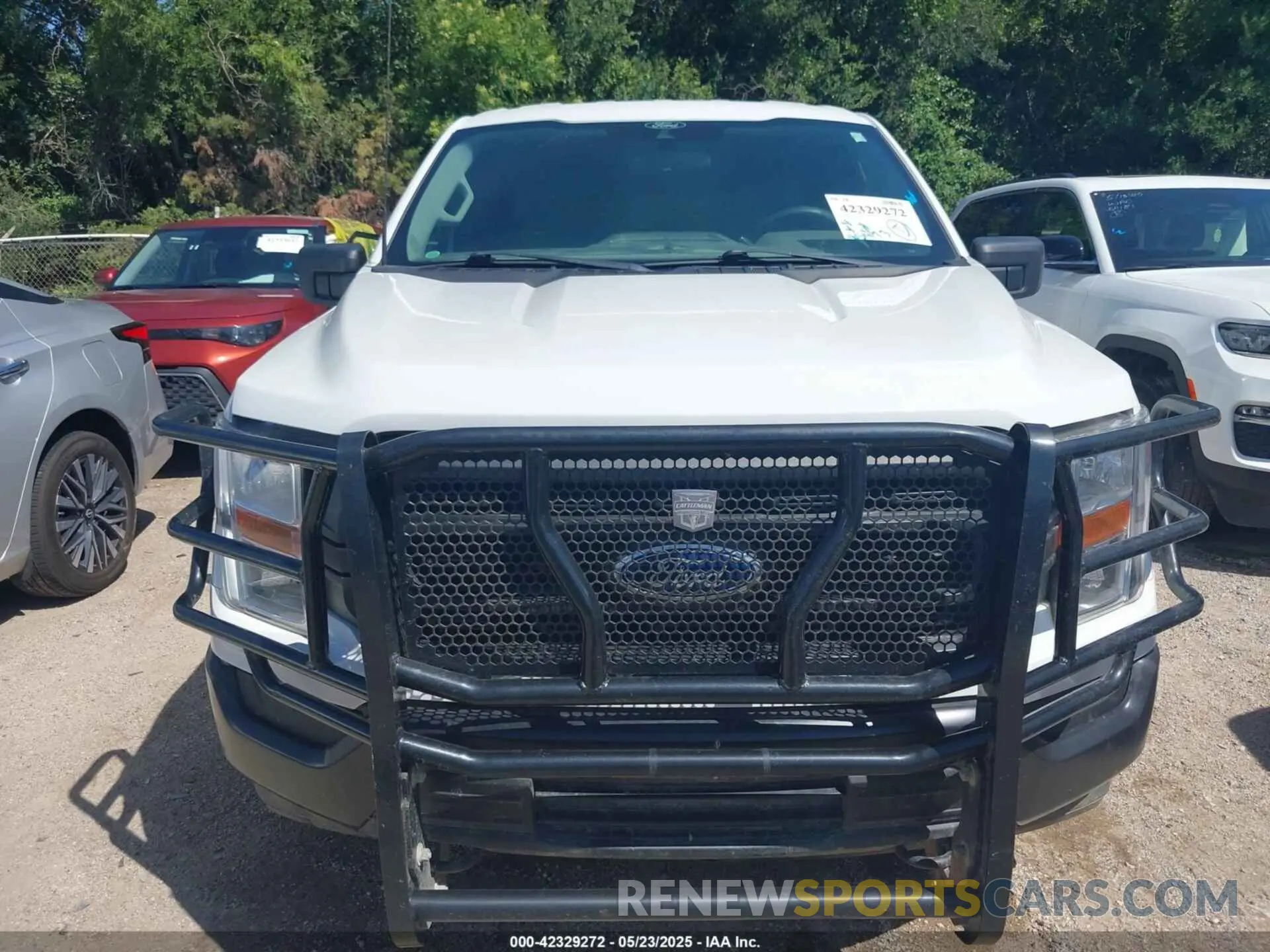 12 fotografías del automóvil dañado 1FTFX1E56MFD09555 FORD F-150 2021
