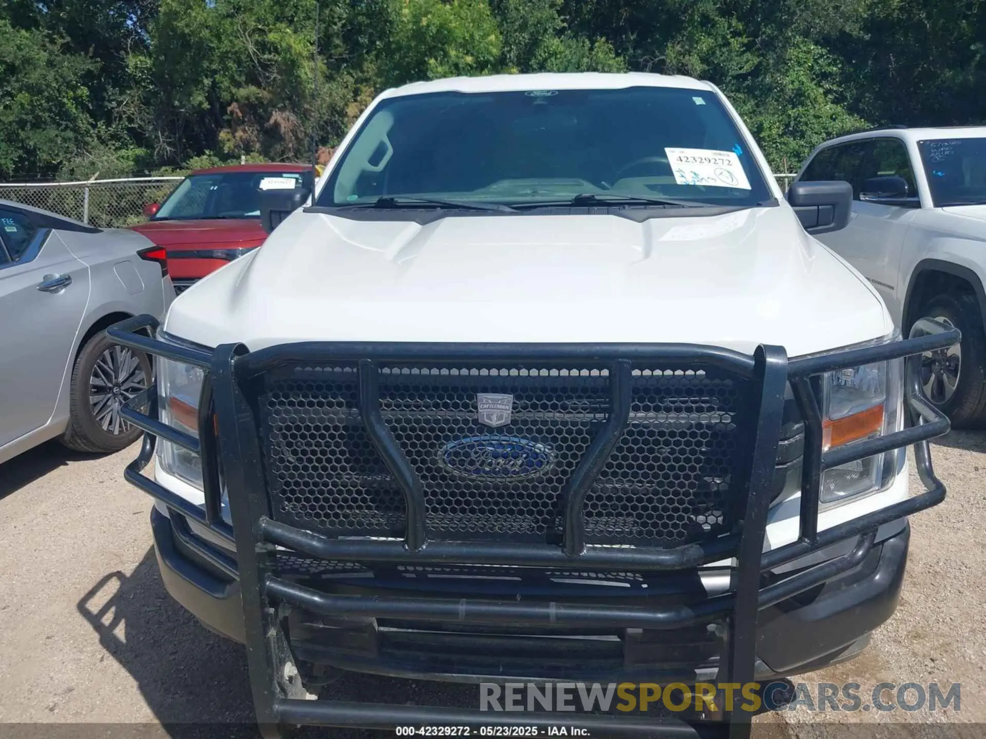 6 fotografías del automóvil dañado 1FTFX1E56MFD09555 FORD F-150 2021