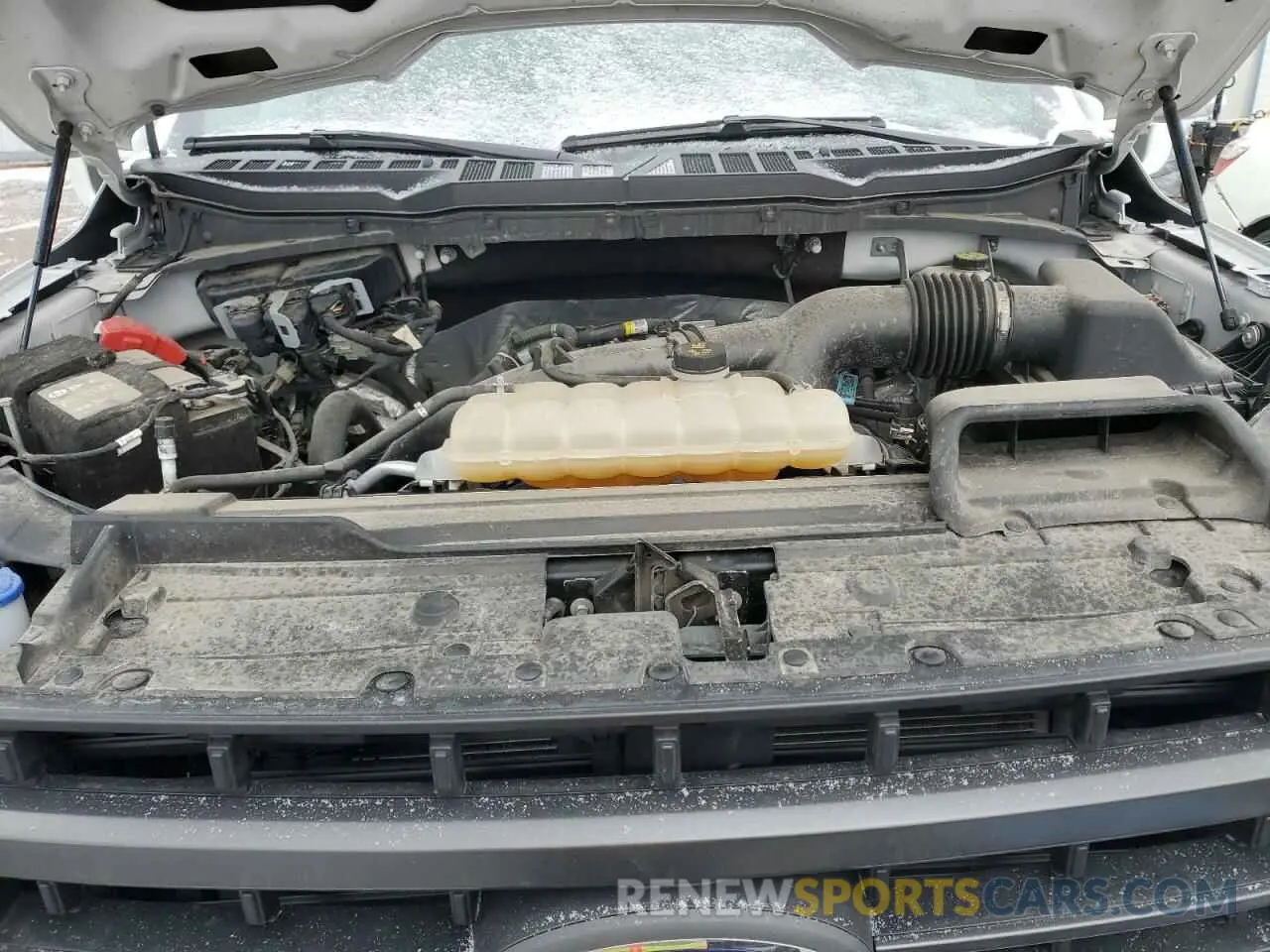 11 fotografías del automóvil dañado 1FTEW1EP4NFA32647 FORD F-150 2022