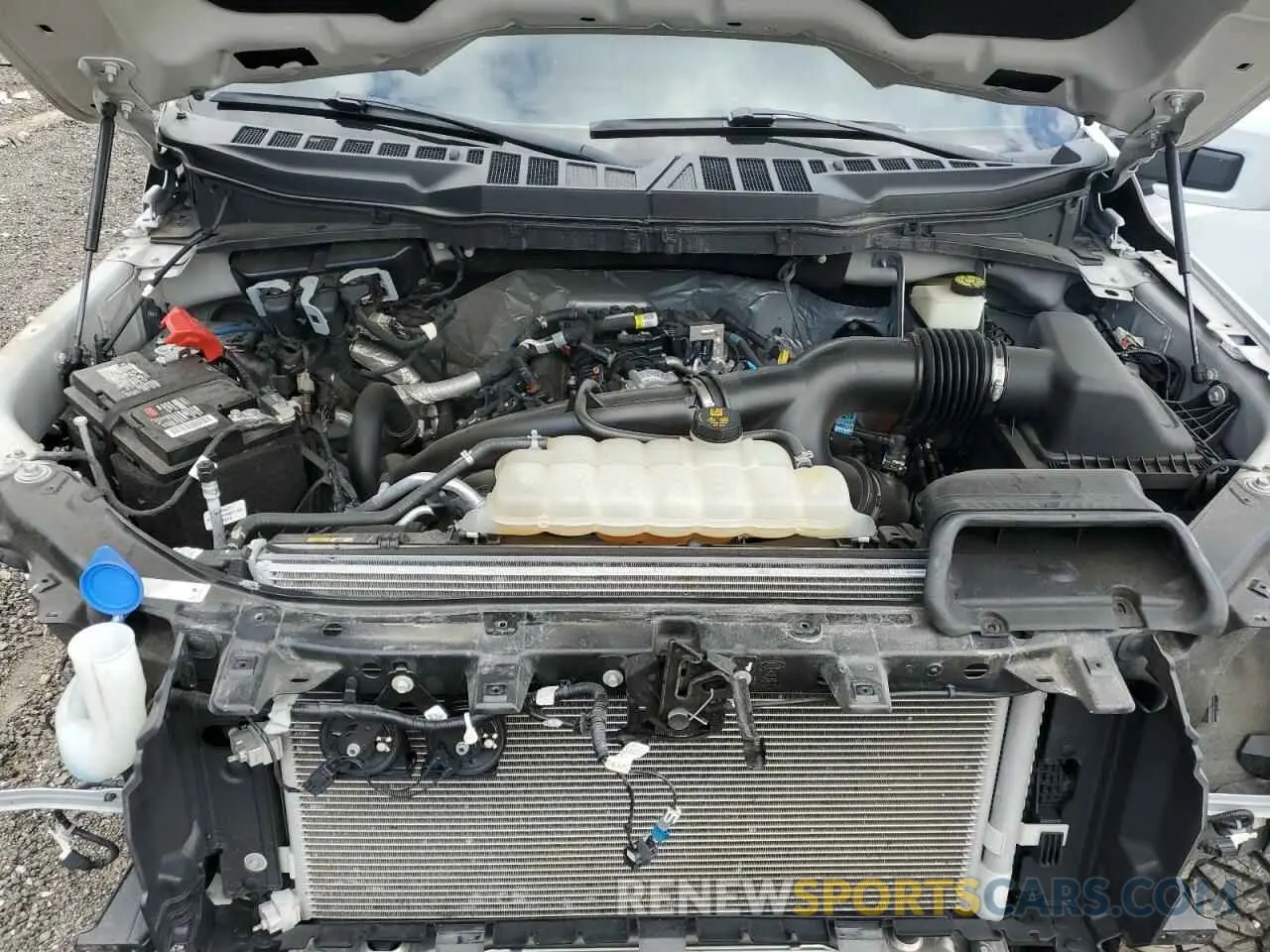 11 fotografías del automóvil dañado 1FTEW1EP4NKD16027 FORD F-150 2022