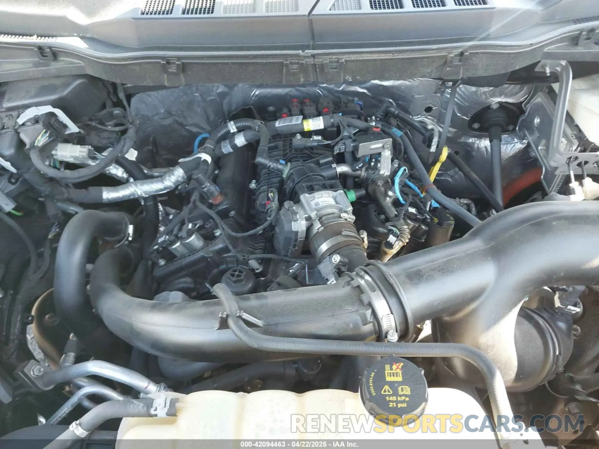 10 fotografías del automóvil dañado 1FTEW1EP4NKE46440 FORD F-150 2022