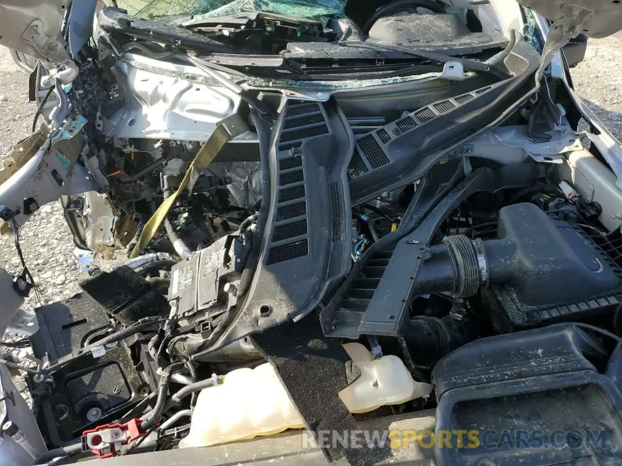 12 fotografías del automóvil dañado 1FTEW1EP5NKE03502 FORD F-150 2022
