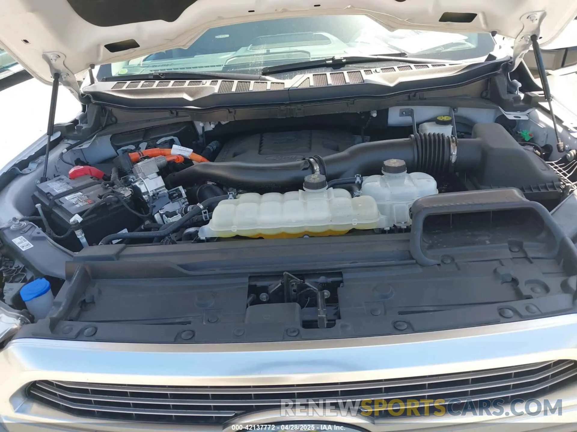 10 fotografías del automóvil dañado 1FTFW1ED0NFB57669 FORD F-150 2022