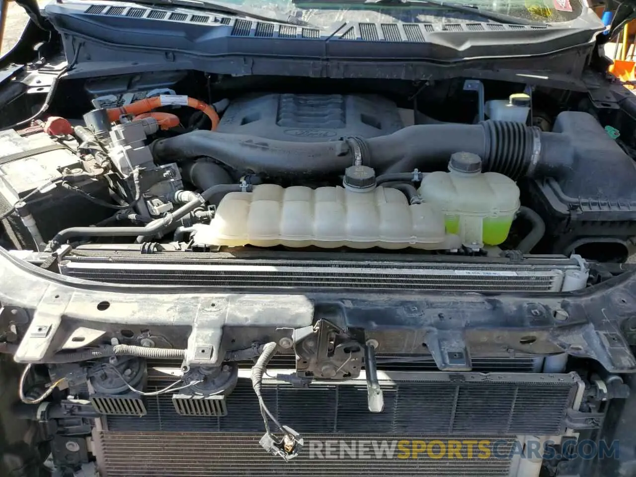 12 fotografías del automóvil dañado 1FTFW1ED4NFA92048 FORD F-150 2022