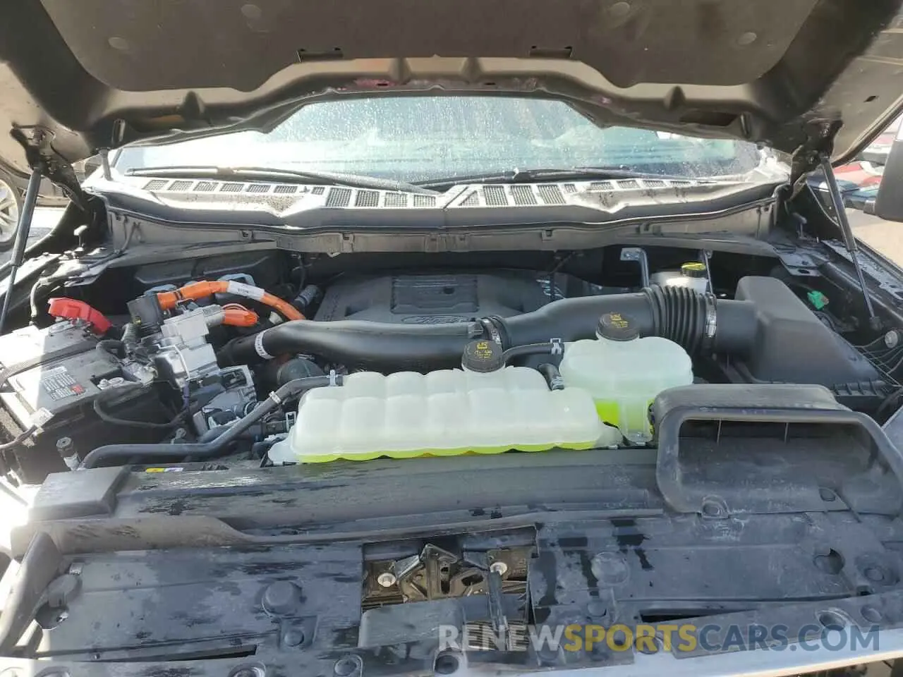 11 fotografías del automóvil dañado 1FTFW1ED4NFB39112 FORD F-150 2022