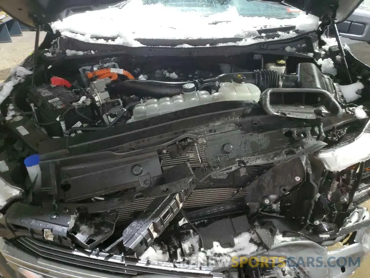 11 fotografías del automóvil dañado 1FTFW1ED4NFB53513 FORD F-150 2022