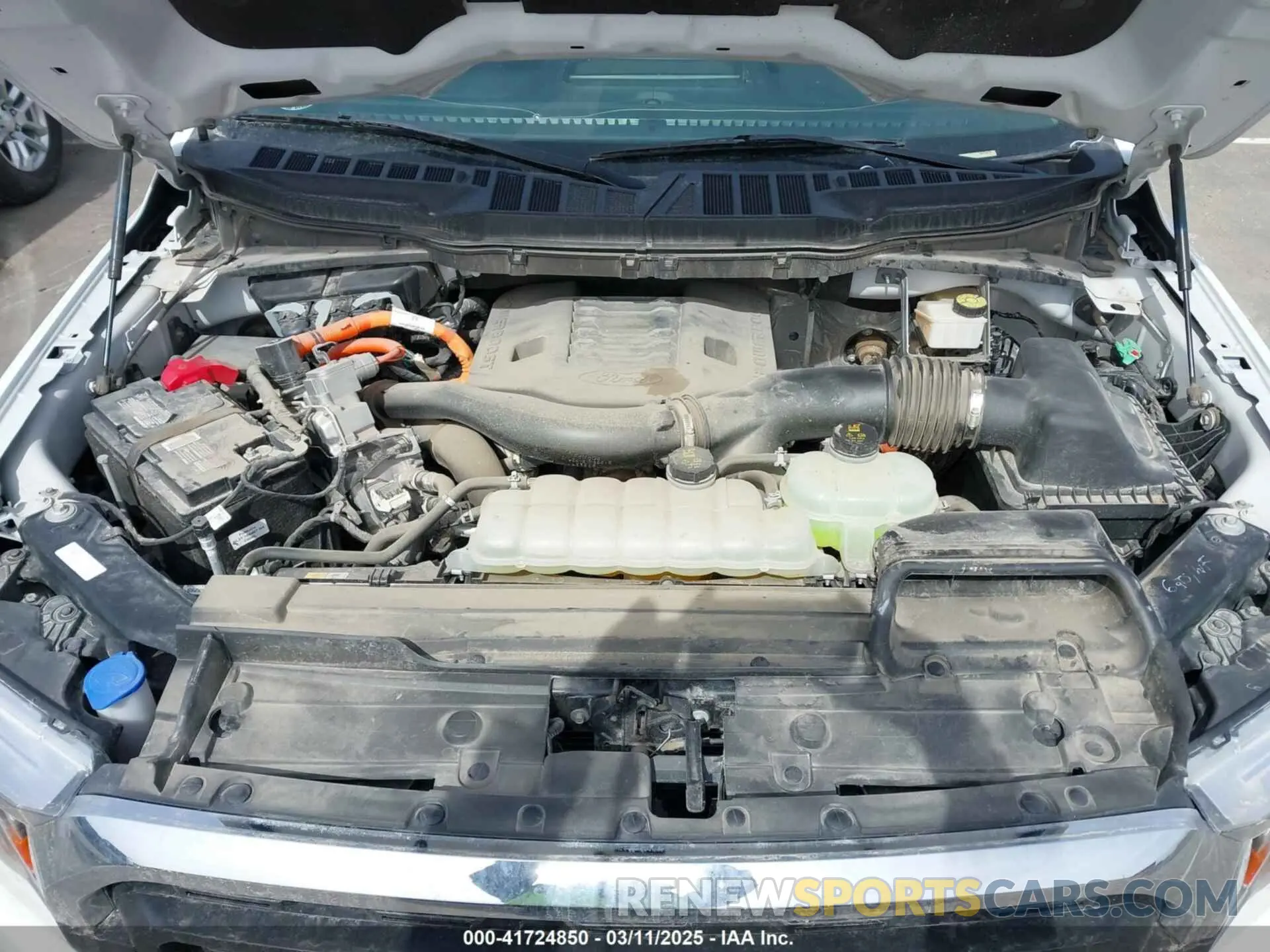 10 fotografías del automóvil dañado 1FTFW1ED4NFC19719 FORD F-150 2022