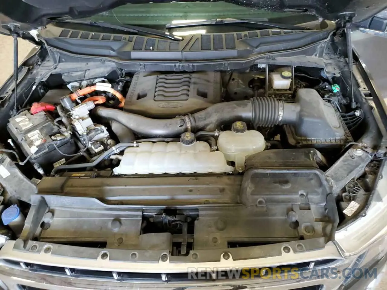 13 fotografías del automóvil dañado 1FTFW1ED5NFA09419 FORD F-150 2022