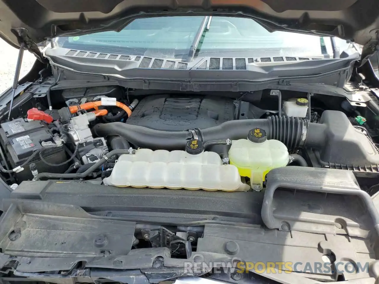 12 fotografías del automóvil dañado 1FTFW1ED6NFA25581 FORD F-150 2022