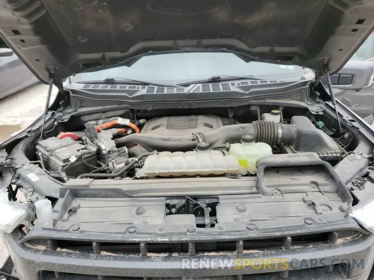 12 fotografías del automóvil dañado 1FTFW1ED9NFA17149 FORD F-150 2022