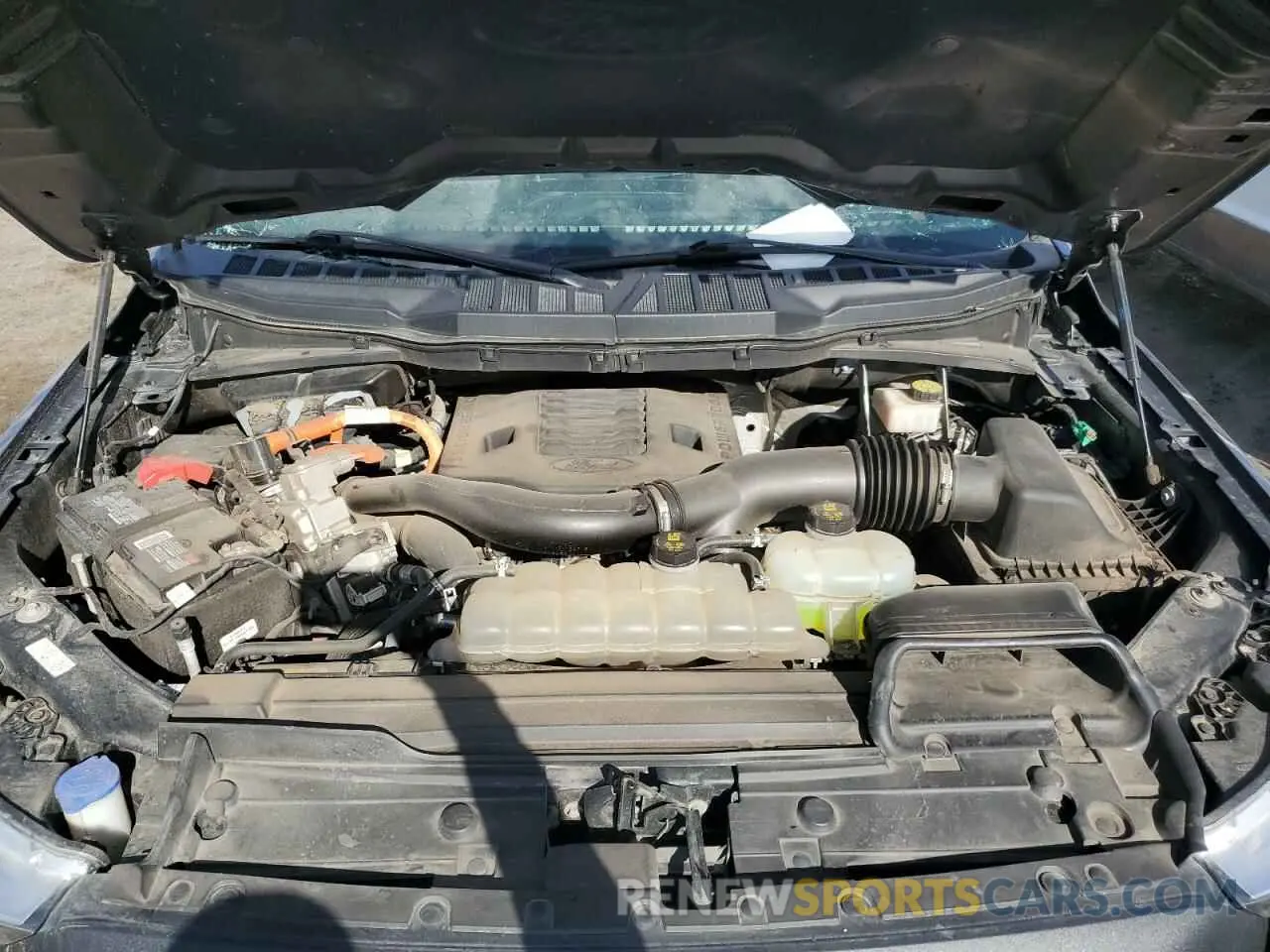 11 fotografías del automóvil dañado 1FTFW1EDXNFA14230 FORD F-150 2022