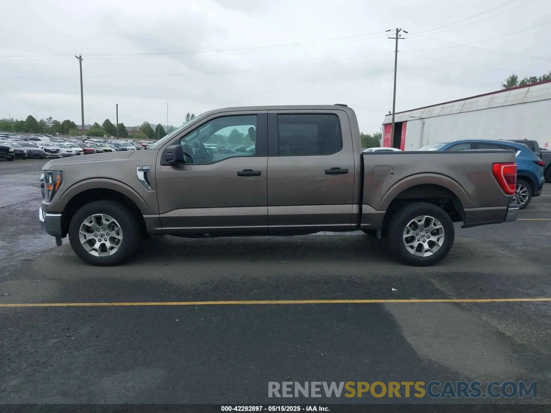 14 fotografías del automóvil dañado 1FTEW1C51PFB46321 FORD F-150 2023