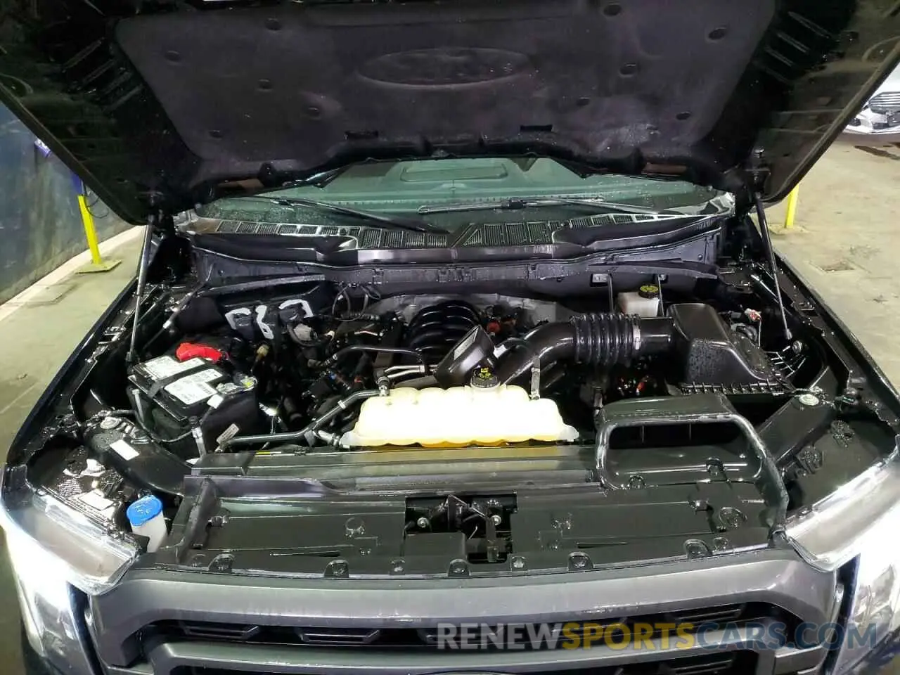 11 fotografías del automóvil dañado 1FTEW1C57PFB83938 FORD F-150 2023