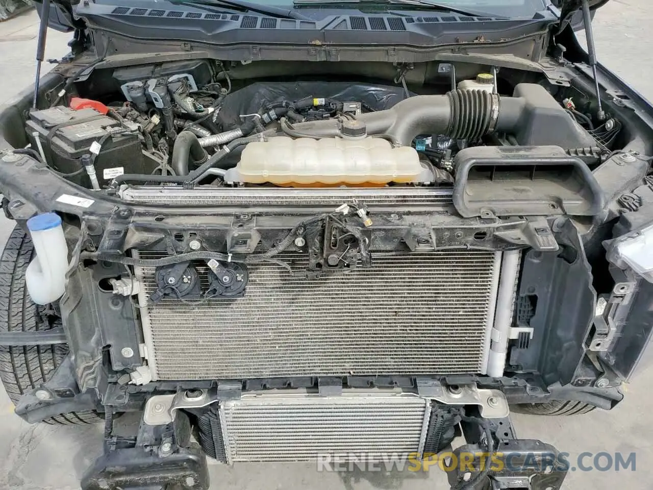 11 fotografías del automóvil dañado 1FTEW1CP9PKD67061 FORD F-150 2023