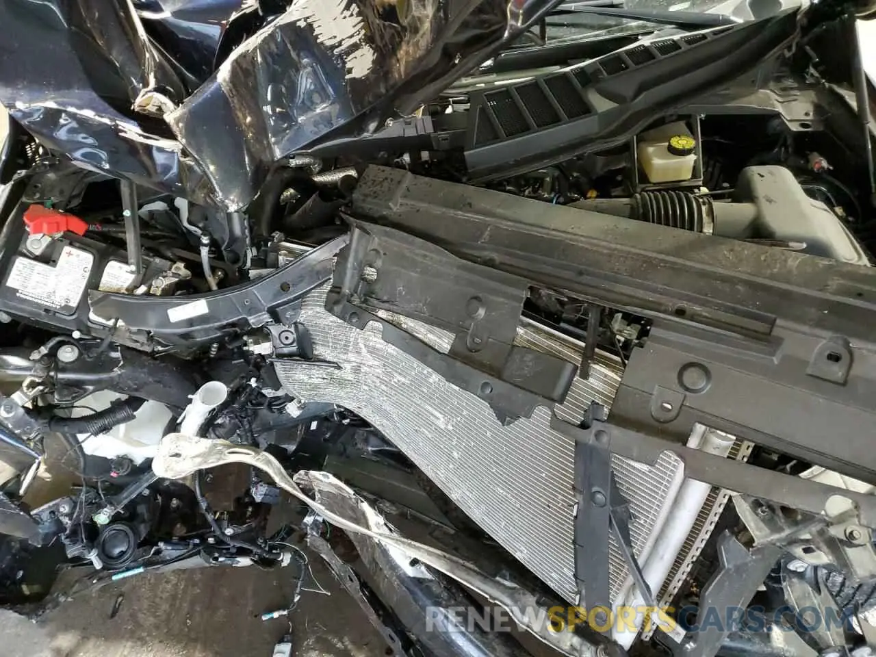 11 fotografías del automóvil dañado 1FTEW1EP4PKF86281 FORD F-150 2023